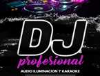 DJ profesional y Karaoke para eventos privados.