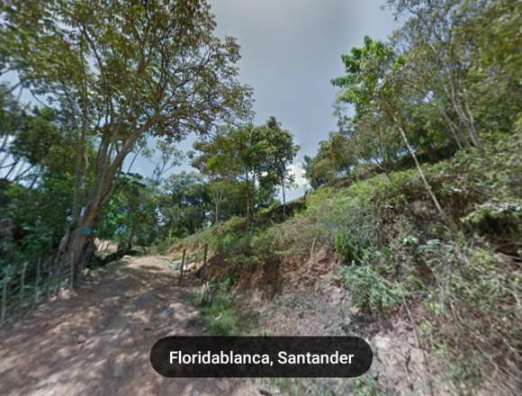Se vende lote en Floridablanca (Precio negociable)
