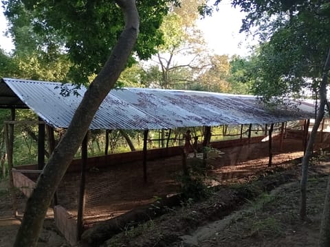 Cuidadores Rurales de Finca y Galpones en Girardot (Municipio)