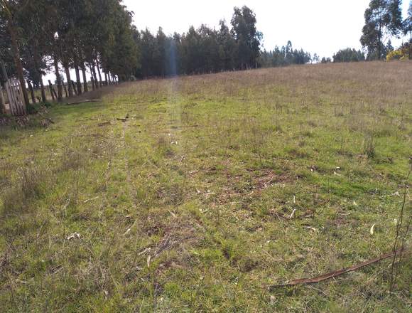 Se venden 2 terrenos en Nueva Imperial (Comuna)