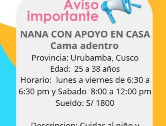 NANA CON APOYO EN CASA(CAMA ADENTRO) en Colquemarca (Distrito)