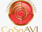 Consultores y Soluciones Avl