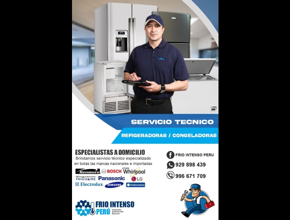 Profesionales en Lima- REFRIGERADORAS/CONGELADORAS