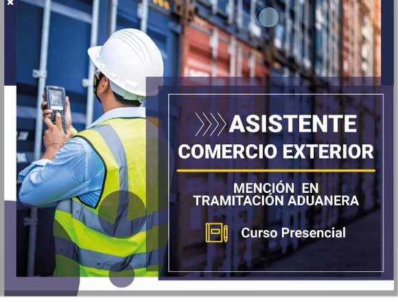 Asistente Comercio Exterior en Arica (Comuna)