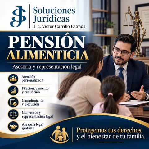 Asesoría y representación legal en pensión alimenticia en Cuauhtémoc (Municipio)