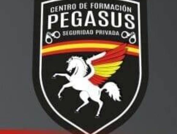 CURSO VIGILANTE DE SEGURIDAD PRIVADA en Almería (Municipio)