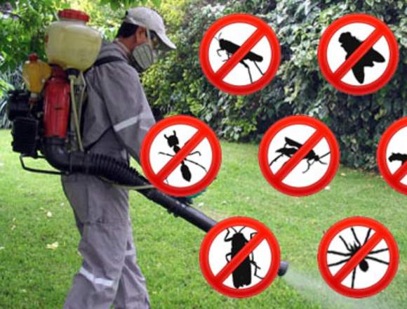Control de plagas (fumigación) en Bogotá, D.C. (Municipio)