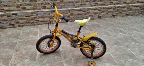 Bicicleta para niños hasta 8 años
