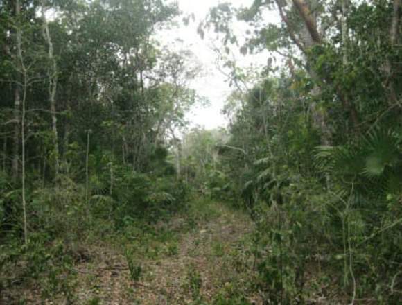 Terreno en Cancún Quintana Roo