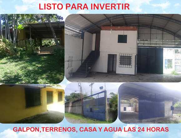 3 INMUEBLES Terreno 10.000 Mts2, Galpón y Casa en Acevedo (Municipio)
