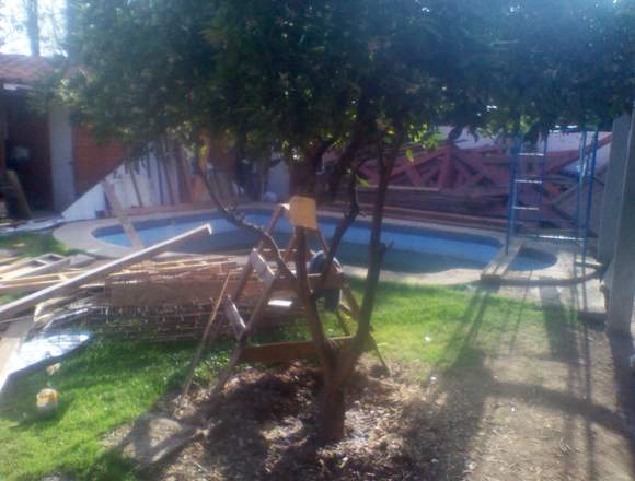 Pintura y Reparacion de piscinas 981441489 en O'Higgins (Comuna)