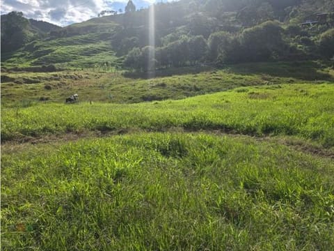 Lote de 6.899 m² en venta en Alto de Matasano, Barbosa