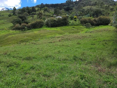 Lote de 6.899 m² en venta en Alto de Matasano, Barbosa