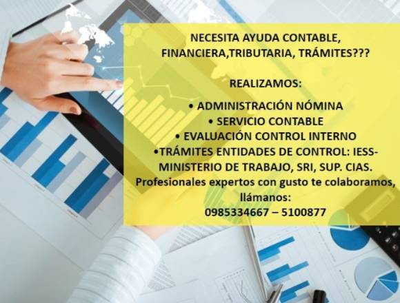 SE ELABORA FLUJOS DE CAJA Y PLAN DE NEGOCIOS en Quito (Cantón)