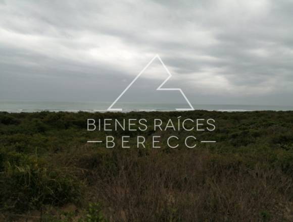 VENTA TERRENOS PLAYA TURQUESA PUEBLO VIEJO, VER.