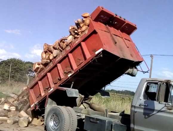 Venta de leña a domicilio en Turís (Municipio)