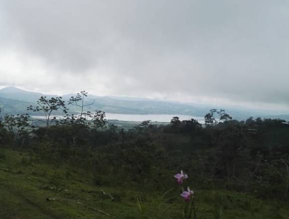 Finca con casa cerca al Darién