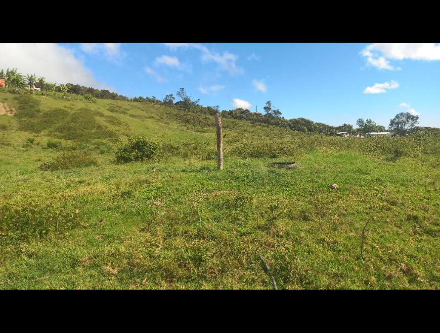GRANJA PRODUCTIVA EN VENTA. en Lobatera (Municipio)