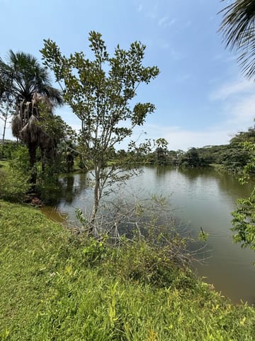 LOTE EN VENTA CONDOMINIO CASA DE CAMPO EN RESTREPO-META en Restrepo (Municipio)