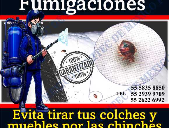 Servicios de fumigacion contra chinches de camas en Ecatepec de Morelos (Municipio)