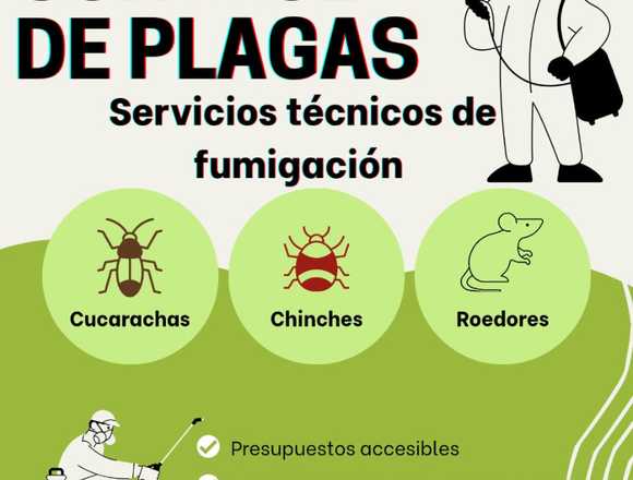 SERVICIO DE FUMIGACION PARA EMPRESAS Y NEGOCIOS en Ecatepec de Morelos (Municipio)