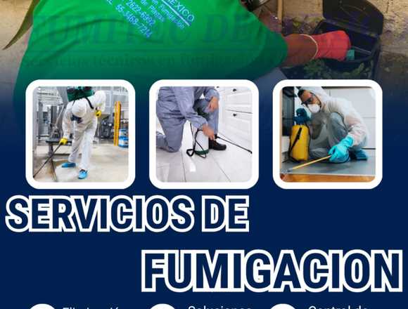 CUCARACHAS DE COCINA- FUMIGACIONES EFECTIVAS en Ecatepec de Morelos (Municipio)
