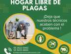 EXTERMNIO DE CHINCHES DE CAMA - FUMIGACIONES en Ecatepec de Morelos (Municipio)