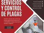 SERVICIOS Y CONTRO DE PLAGAS - CHINCHES DE CAMA en Ecatepec de Morelos (Municipio)