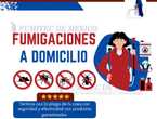 fUMIGACIONES A DOMICILIO PARA CUCARACHAS en Ecatepec de Morelos (Municipio)