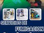 CUCARACHAS DE COCINA- FUMIGACIONES EFECTIVAS en Ecatepec de Morelos (Municipio)
