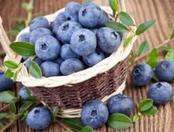 VENTA DE ARANDANOS Y CEREZAS en Talca (Comuna)
