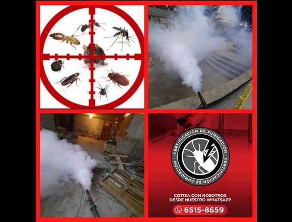 EMPRESA FUMIGADORA PLAGAX S.A en Panamá (Distrito)