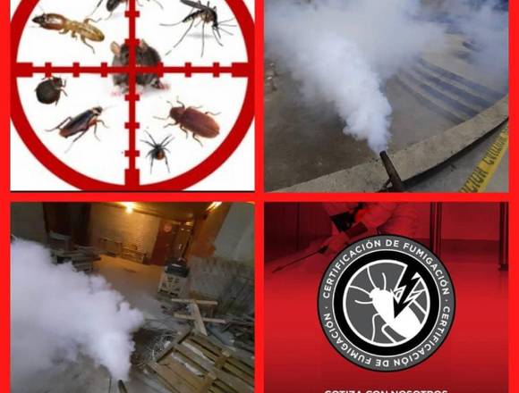 EMPRESA FUMIGADORA PLAGAX S.A en Panamá (Distrito)