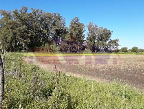 Campo en venta en Recreo Sur Santa Fe, 3.8has en Recreo (Localidad)