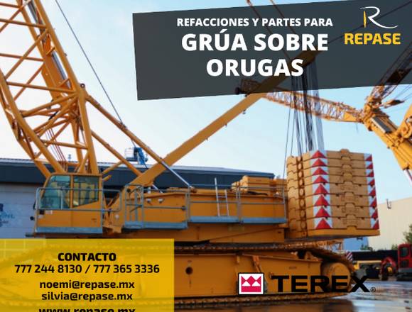 GRUA SOBRE ORUGAS CC2400-1 TEREX en Morelos (Municipio)