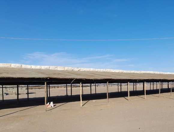 VENTA DE GRANJA AVICOLA en Arequipa (Distrito)