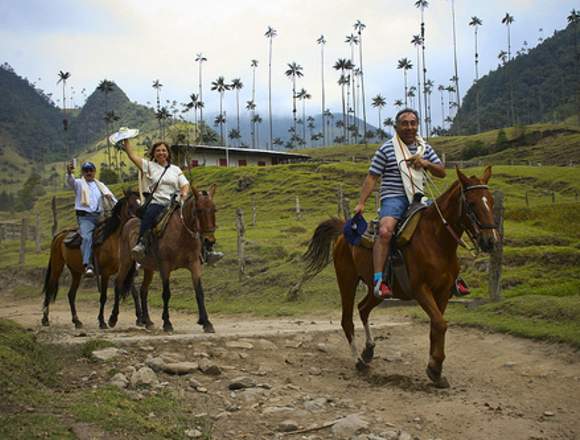 SUPER PAQUETE TURÍSTICO VALLE DEL COCORA Y SALENTO en Risaralda (Municipio)