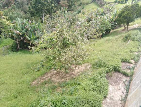 Vendo hermosa quinta la Suiza
