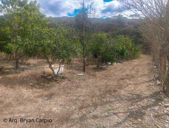 Venta de Terreno en Vilcabamba-Loja-Ecuador en Loja (Cantón)
