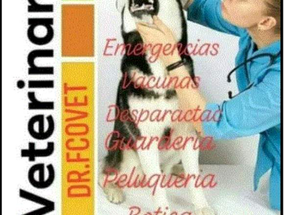 veterinaria 24 horas en Guayaquil Pet 0999575368 en Empalme (Cantón)