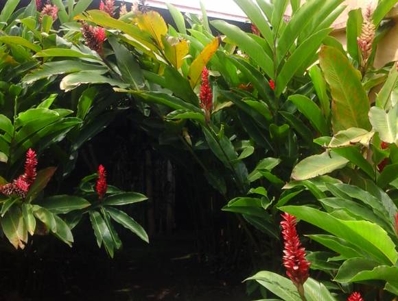 Céntrico terreno a la venta en Mulua, Retalhuleu en Santa Cruz Muluá (Municipio)