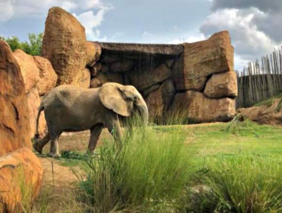 Bioparque Ukumarì, un mundo salvaje