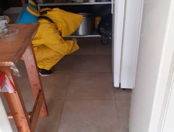 Servicio profesional de fumigación en Quito (Cantón)