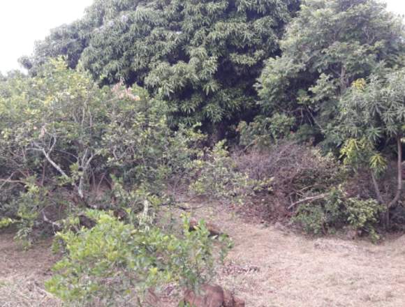 FABULOSO LOTE ICONONZO 800Mt2 en Icononzo (Municipio)
