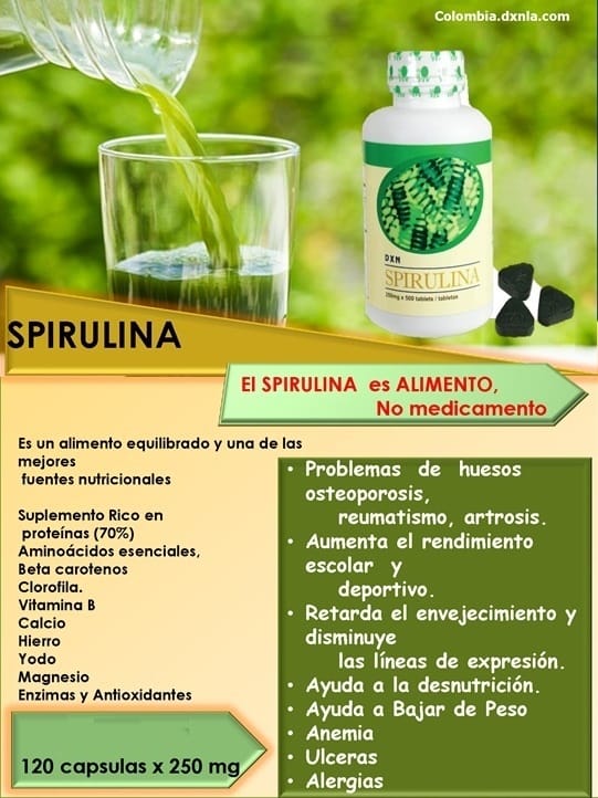 Distribuidor Independiente
