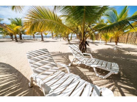 🌊4.000 m2 - LOTE DE PLAYA EN VENTA | Tolú - Playas El Frances 📈