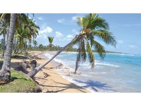⛺Lote Finca con 1.28 km de playa EN VENTA 🏖️ 🌴 San Onofre - Sucre📍