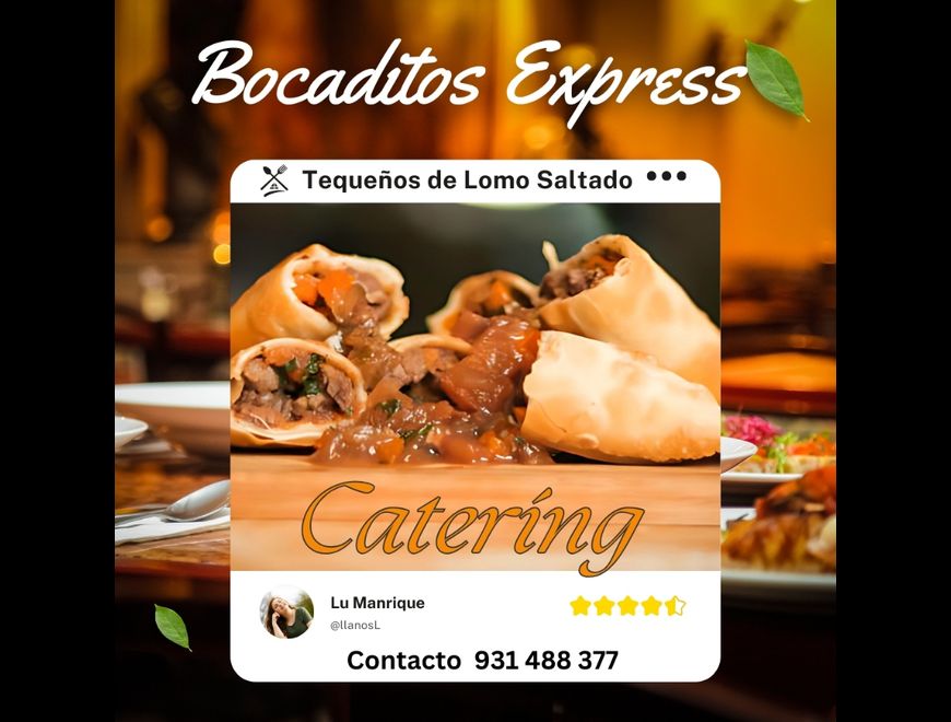 TEQUEÑOS DE LOMO SALTADO Y SERVICIO DE CATERING