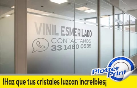 TRANSFORMA TUS CRISTALES CON VINIL ESMERILADO en Guadalajara (Municipio)