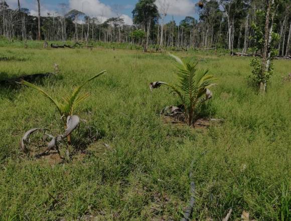 En Venta Finca 265Ha
